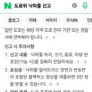 도로 낙화물 관련. 이미지