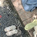 시온목욕탕 이미지