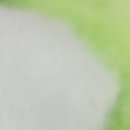 태안내과의원 이미지