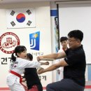 ACE 태권도장 이미지