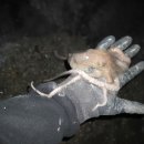 노천민박 이미지