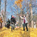 옐로카펫 이미지