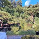 샐리제빵소 이미지