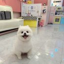 뭉미샵