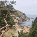 배꽃빵집