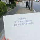 카페시리스 | 260518