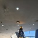 숨골 | 33개월 아이와 제주 겨울여행, 거문오름 비자림 성산일출봉 하루 코스 현실 후기