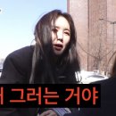 이모네전집 이미지