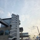 동해 무릉별유천지 라벤더 축제 야간개장 호다닥 후기