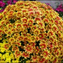 앗~~싸노래방 이미지