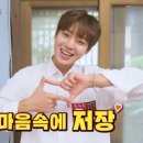 비니빈