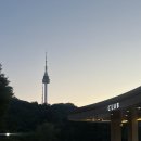 디지털오아시스 | 서울호캉스] 도심 속 완벽한 1박 힐링🌿 반얀트리 클럽앤스파 서울 숙박(반얀룸)+오아시스수영장+조식 후기🐢