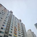 진흥 에이스 이미지