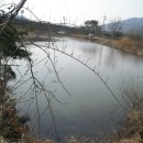 일죽제일낚시