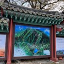 금오종합카