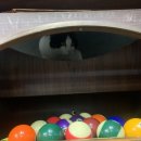 지니 당구클럽 이미지