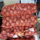 양파상회 이미지