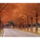 국도24호 이미지