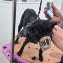 몽클라우드 이미지