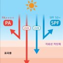 제이비비 동탄점