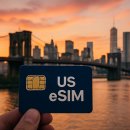 🇺🇸 뉴욕 eSIM 7일 요금·로밍 비교✨ JFK 공항 구매가격·추천 통신사&amp;핫스팟 꿀팁 총정리!