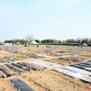 교원농장 이미지