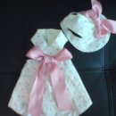 펫 파라다이스 이미지