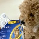 오복약국 이미지