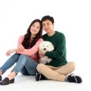 꼬야애견 이미지