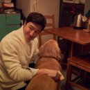 도그데이즈 이미지