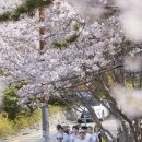 파라다이스호텔 이미지