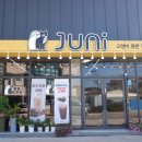 증평고양이카페 &#34;주니&#34; 아이랑 다녀왔어요