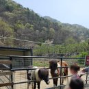 보령 나들이 2코스 이미지