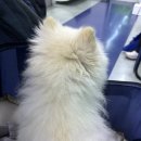 토닥토닥동물병원 이미지