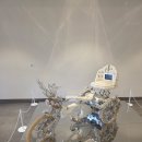 마우나오션 C.C(회원제) | 마우나오션cc / 코스 중 가장 어렵다는 마우나 코스 라운드 후기!