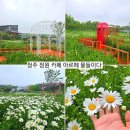 물들이다 이미지