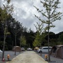 맑을청 | 🌿 [충북진천]맑을 청 캠핑장 캠핑 후기 ✨