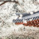 주형건설(주)