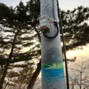 등대시장 이미지