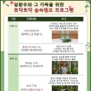 숲:토닥 이미지