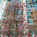 수로왕릉역 이미지