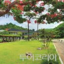 안동세계탈문화전시관 이미지