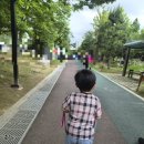 [후기]제22회 부산남구 반딧불이축제 평화공원 후기