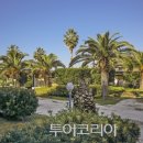 트로페아 이미지