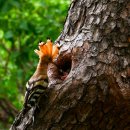 신남공원 이미지