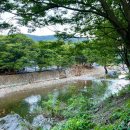 대둔산 강변가든 민박 | [대전근교]대둔산 운주계곡 수영장,평상있는&lt;남양가든&gt;후기 내돈내산