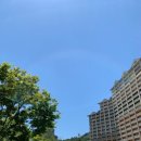 플레이그라운도그