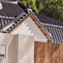 일랑일랑 스테이 이미지