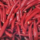 찬들농장 이미지