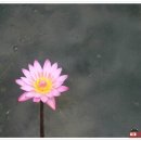 큰따옴표